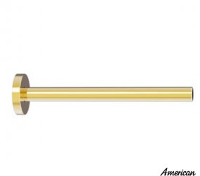 Thanh Nối Đầu Sen American Standard FFAS9908CS