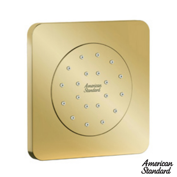 Đầu Sen Âm Tường American Standard FFASS054CS