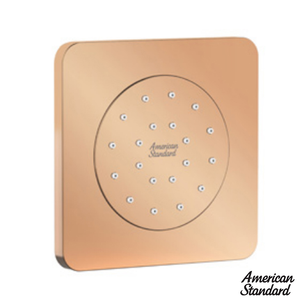 Đầu Sen Âm Tường American Standard FFASS054WS