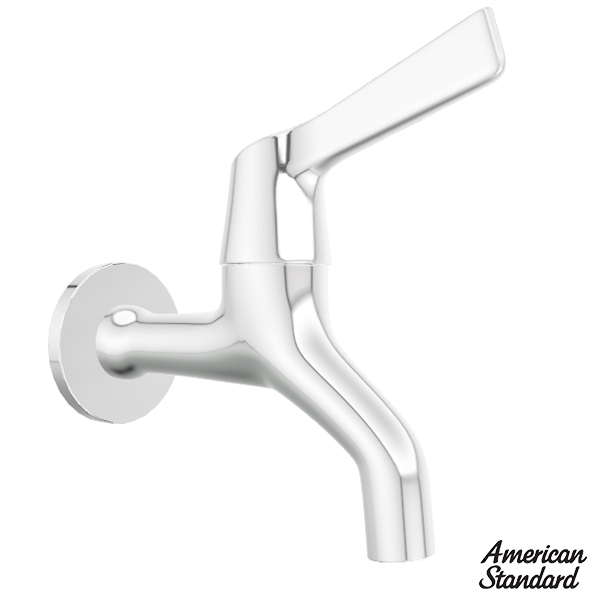 Vòi Lavabo Lạnh Gắn Tường American Standard WF-T602