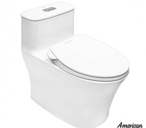 Bồn Cầu Nắp Rửa Cơ American Standard WP-1880SW